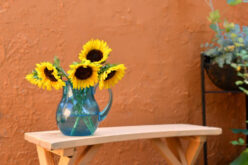 How To Create A Low Maintenance Garden