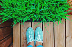 3 Ways to Improve Residential or Commercial Landscapes