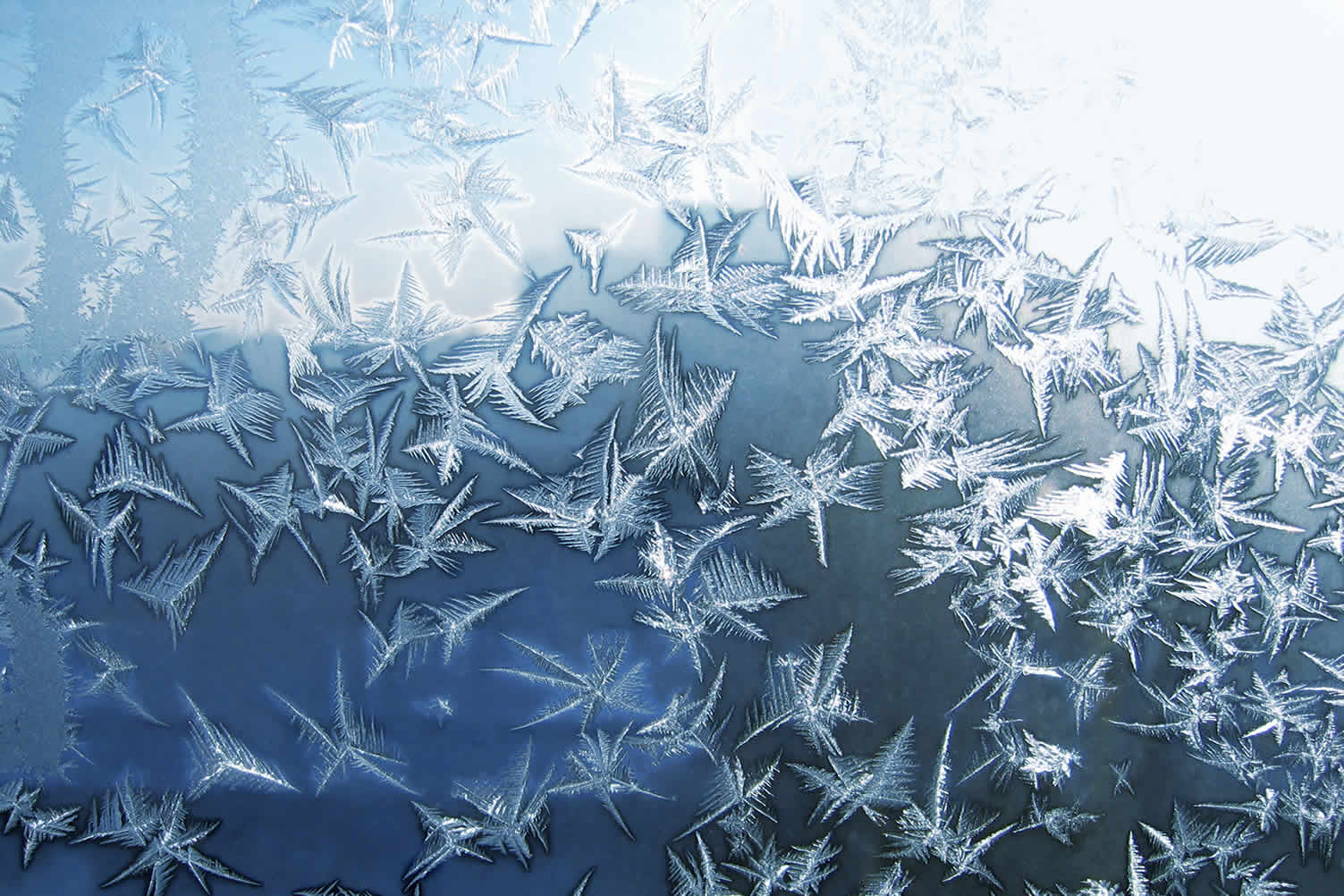 how to improve home air quality