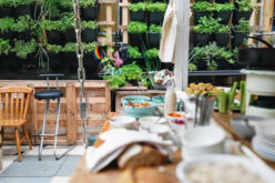 How to Create an Amazing Outdoor Kitchen?