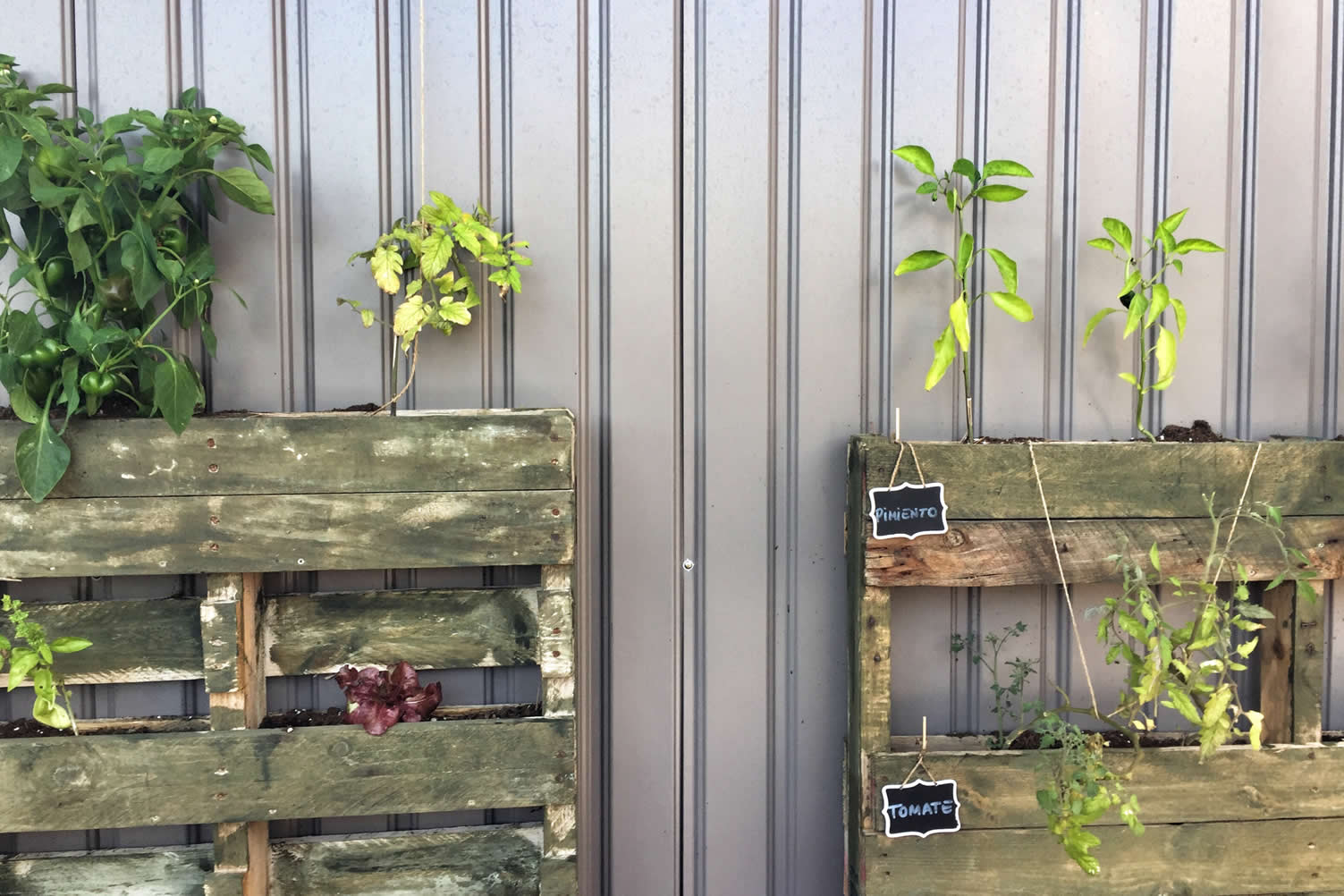 wood pallet decorating for the deck