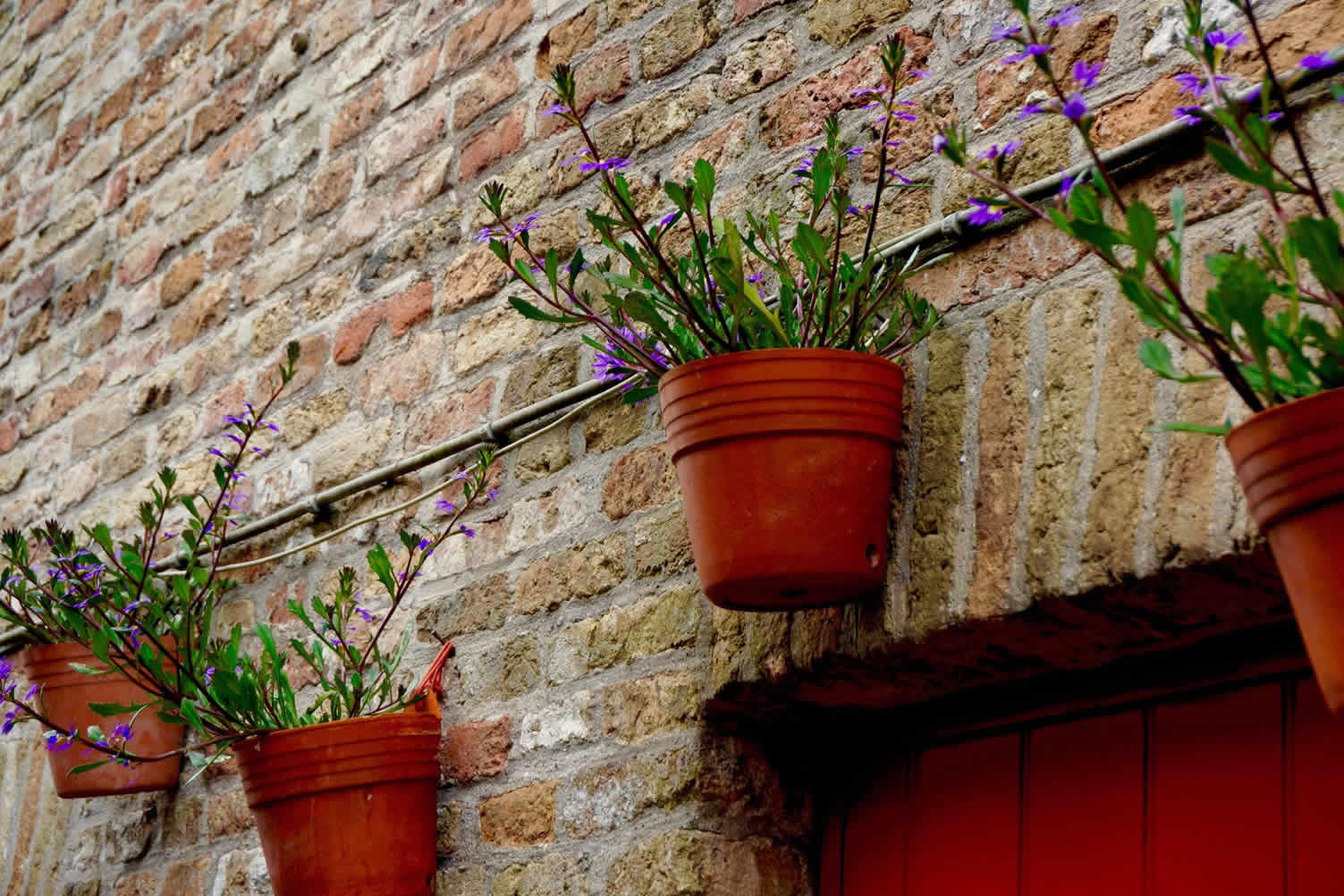 vertical garden ideas