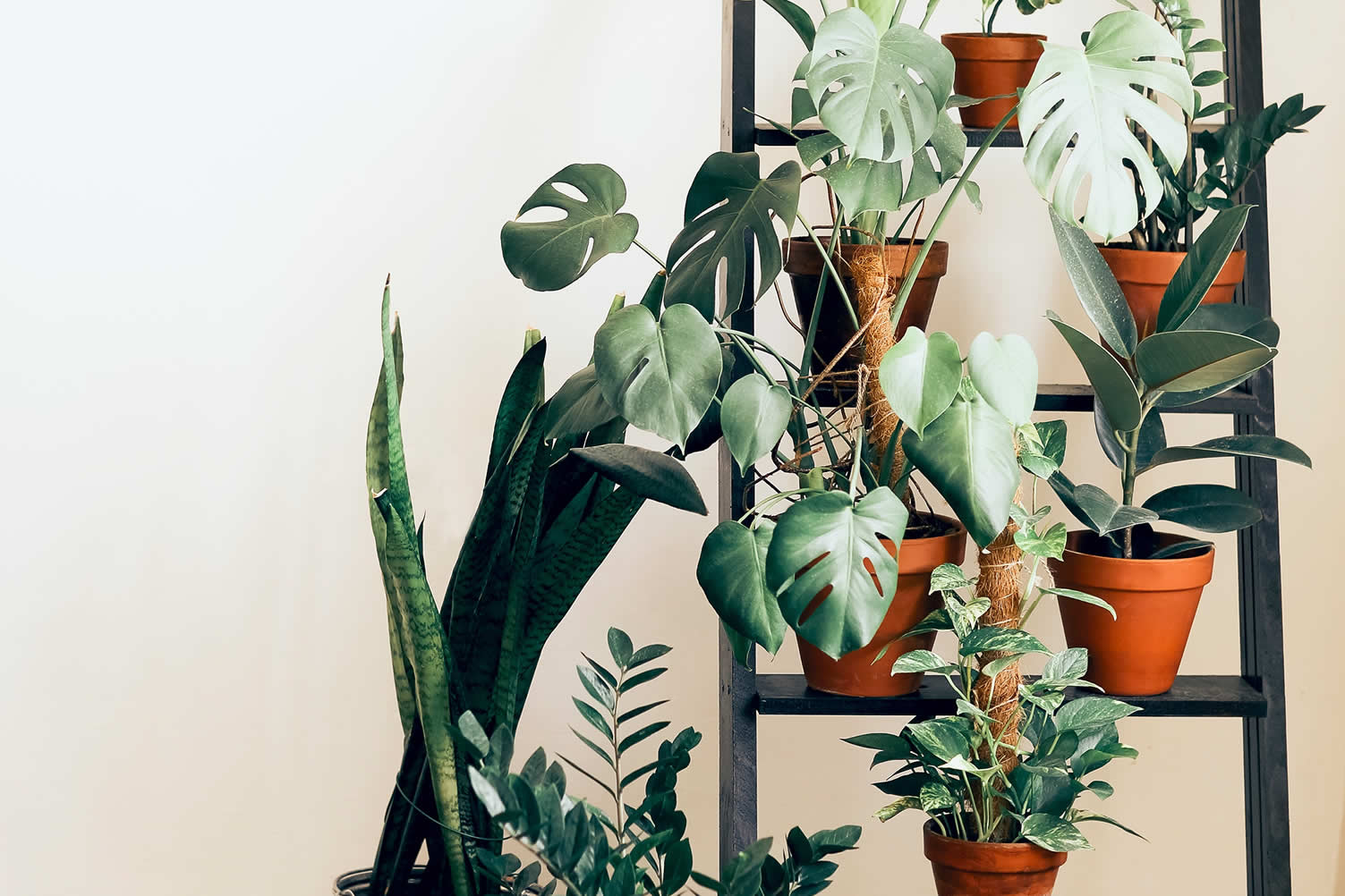 vertical garden ideas