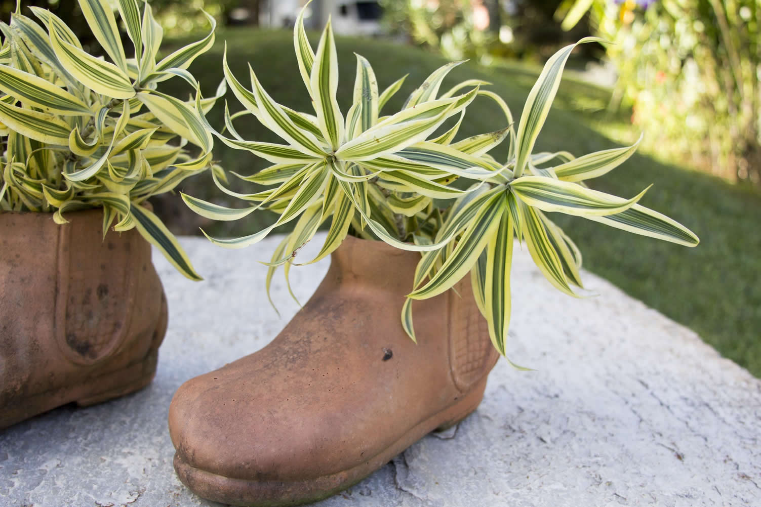 vertical garden ideas