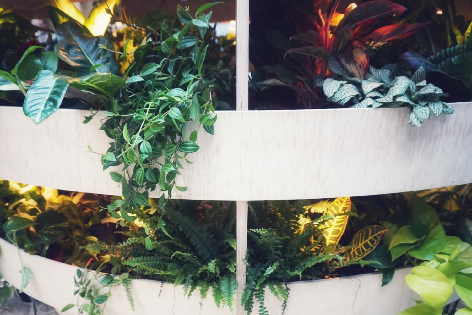vertical garden ideas