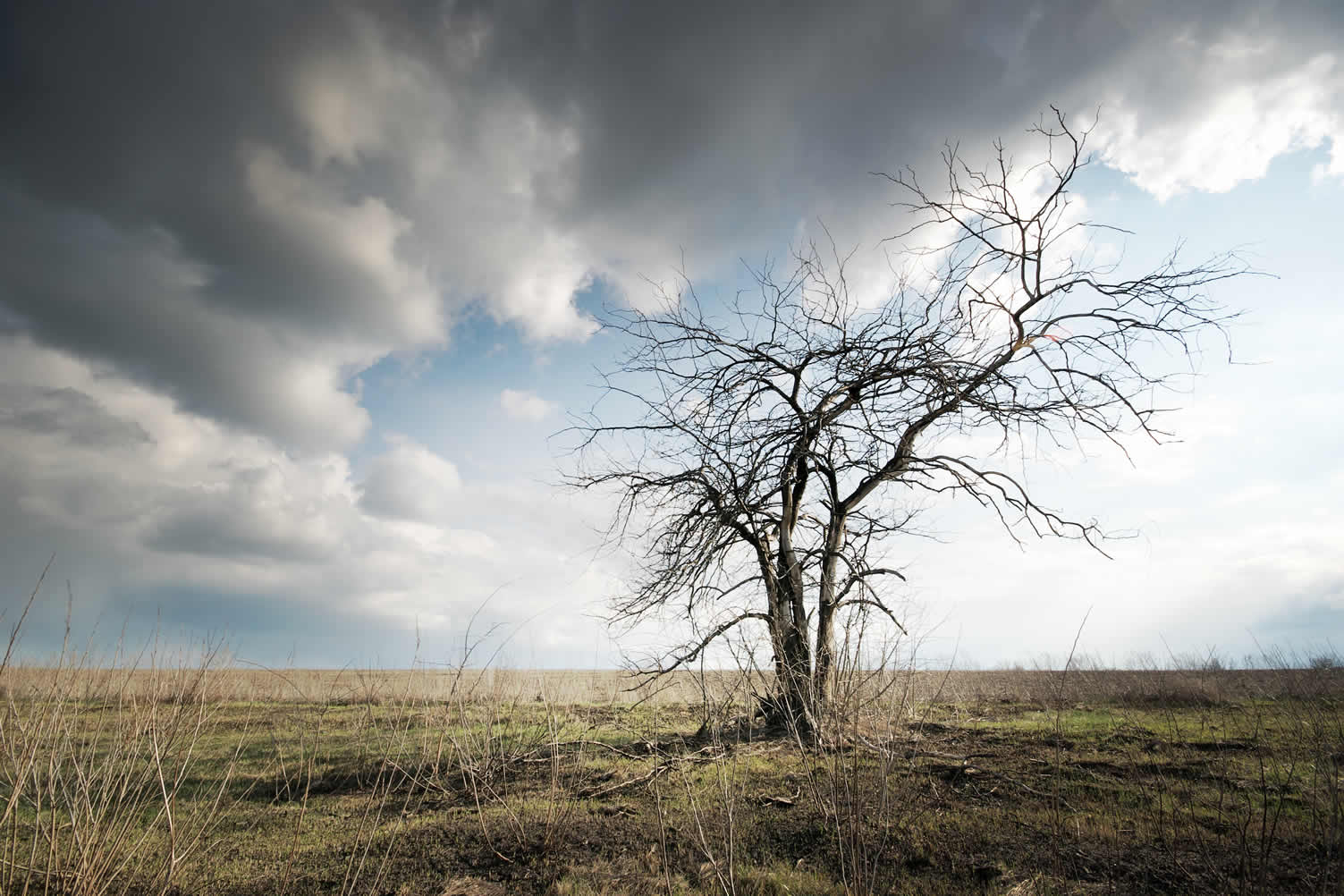 how to protect your home against natural disasters
