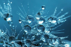 5 Advantages of Rainwater Harvesting