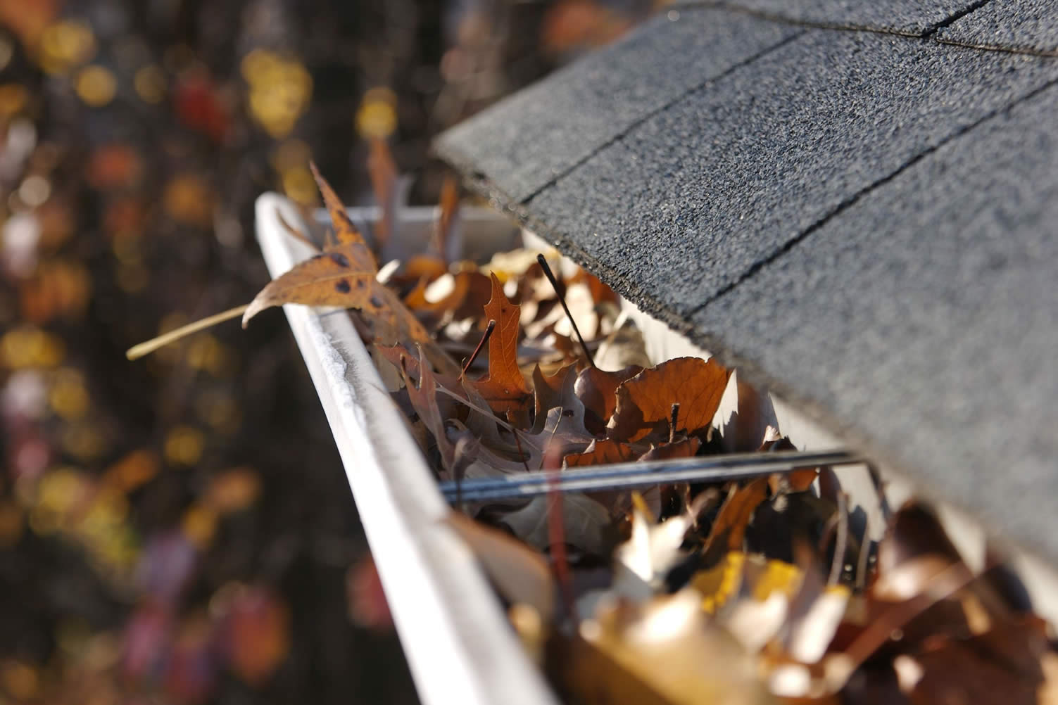 DIY roofing tips