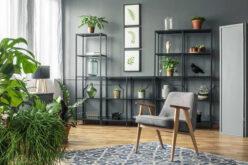 Tips for Creating an Elegant Living Room Space