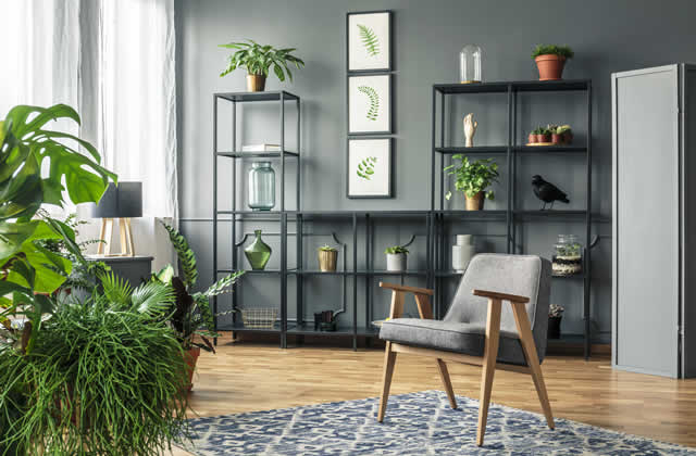 living rooms