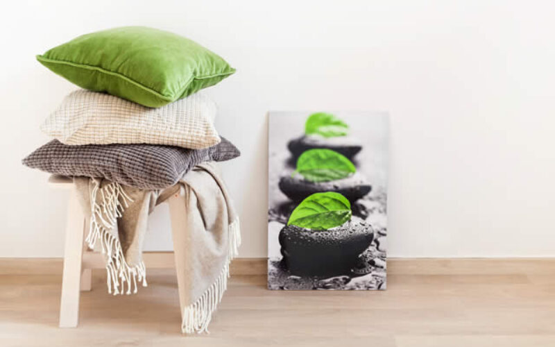 Throw Pillows