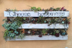 Useful Tips for Cultivating A Vertical Garden