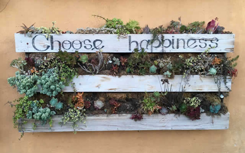 Useful Tips for Cultivating A Vertical Garden