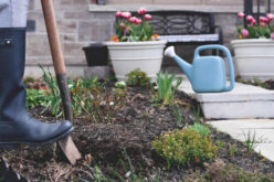 How To Landscape Your Backyard On a Budget