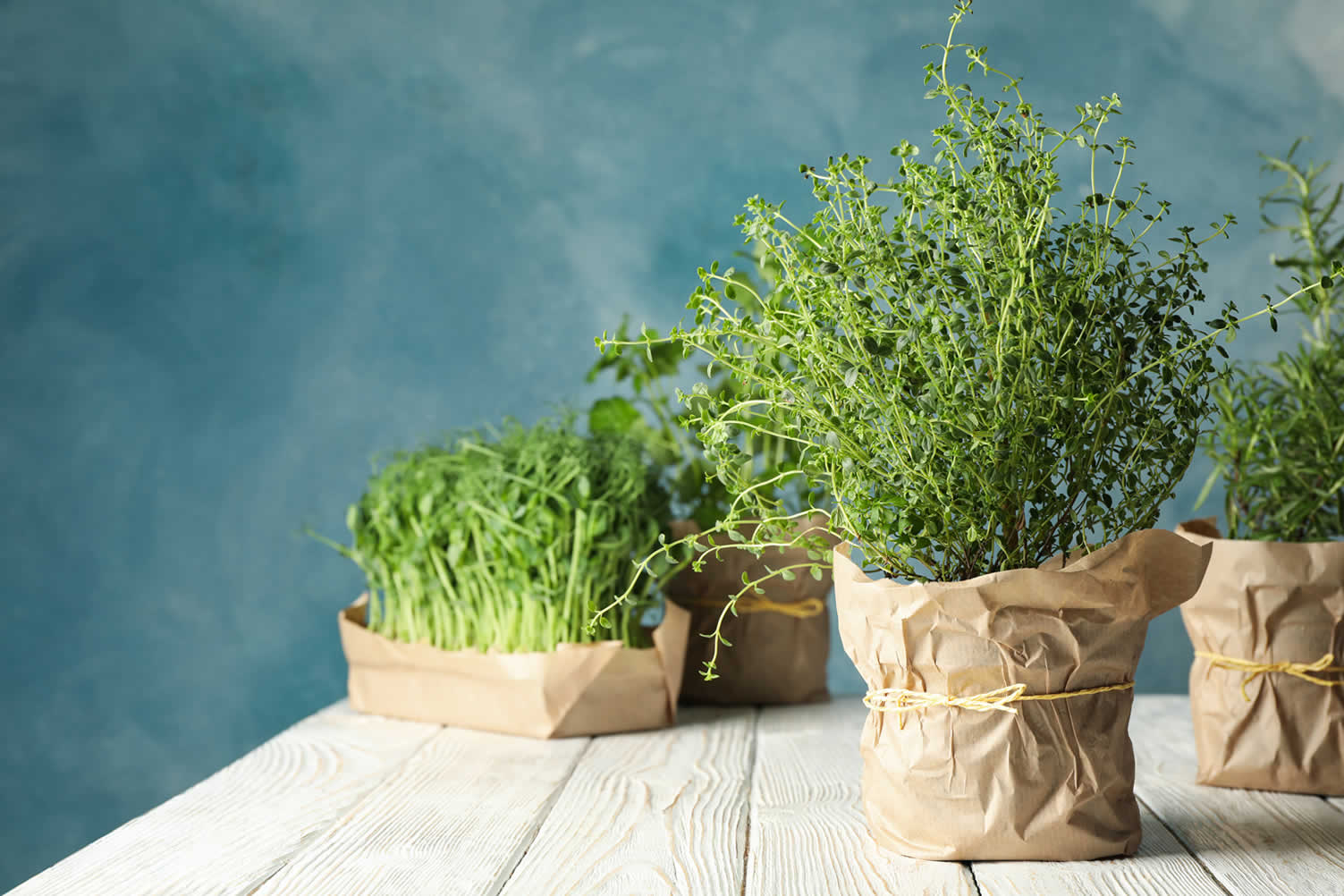 farmhouse kitchen essentials