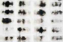 Reasons Why Mold Remediation Is Crucial