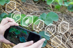 Creating Smart Landscaping For The Future
