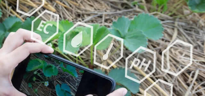 Creating Smart Landscaping For The Future