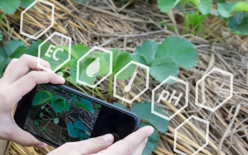 Creating Smart Landscaping For The Future