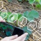 Home Automation and Security