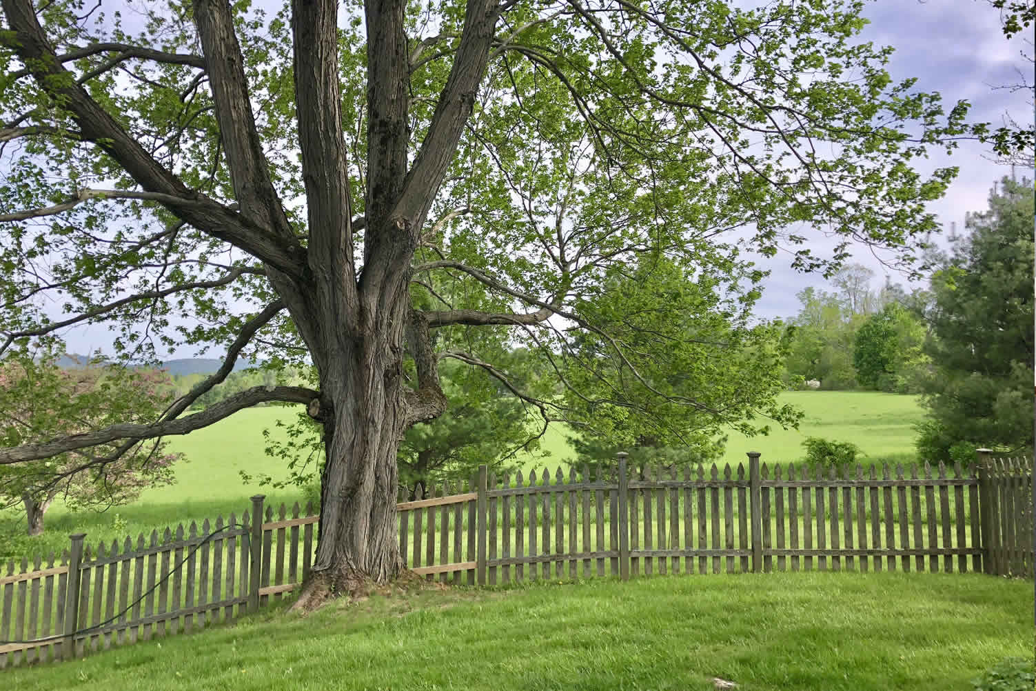 items you need for building a fence