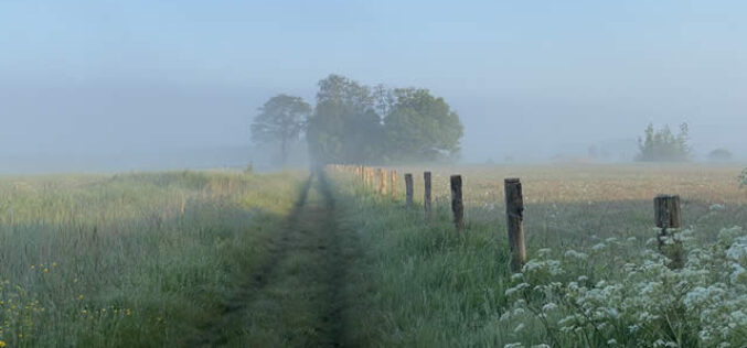 Essential Items You Need for Building a Fence