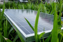 5 Ways to Update Your House to Go Green
