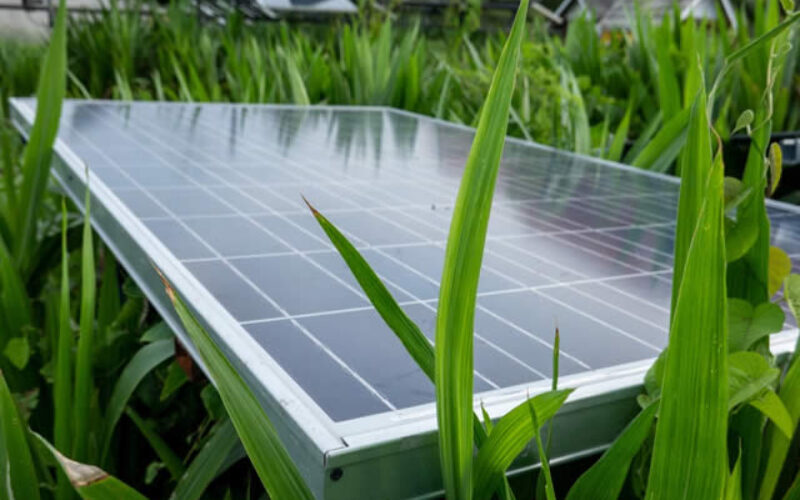 upade to green living