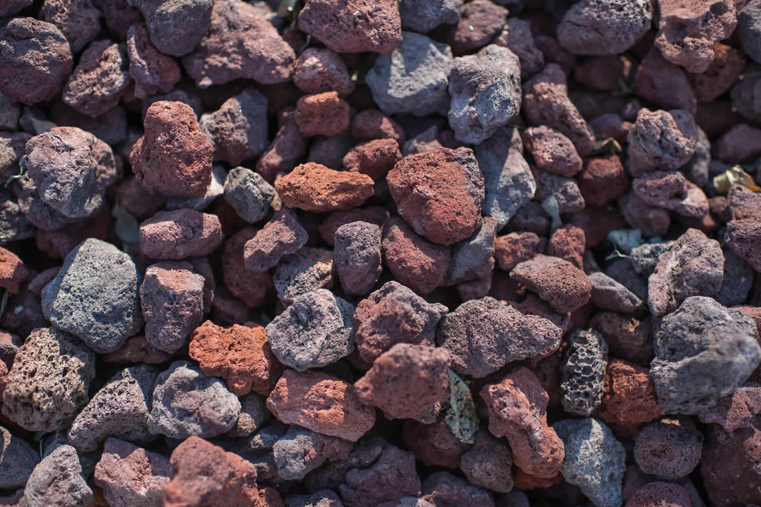 adding gravel to your backyard