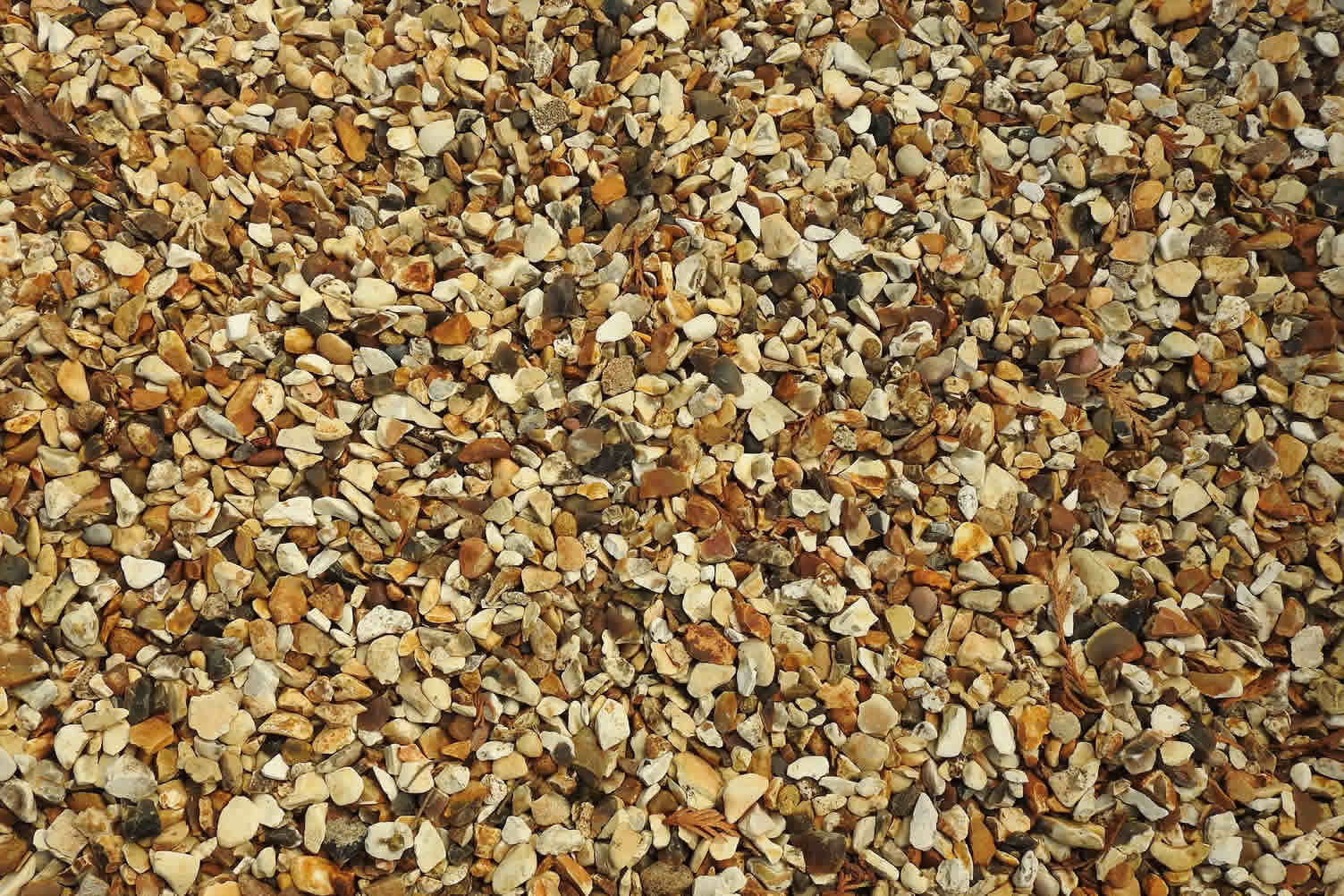 adding gravel to your backyard