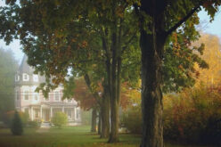 How Tree Planting Can Help Your Garden Thrive