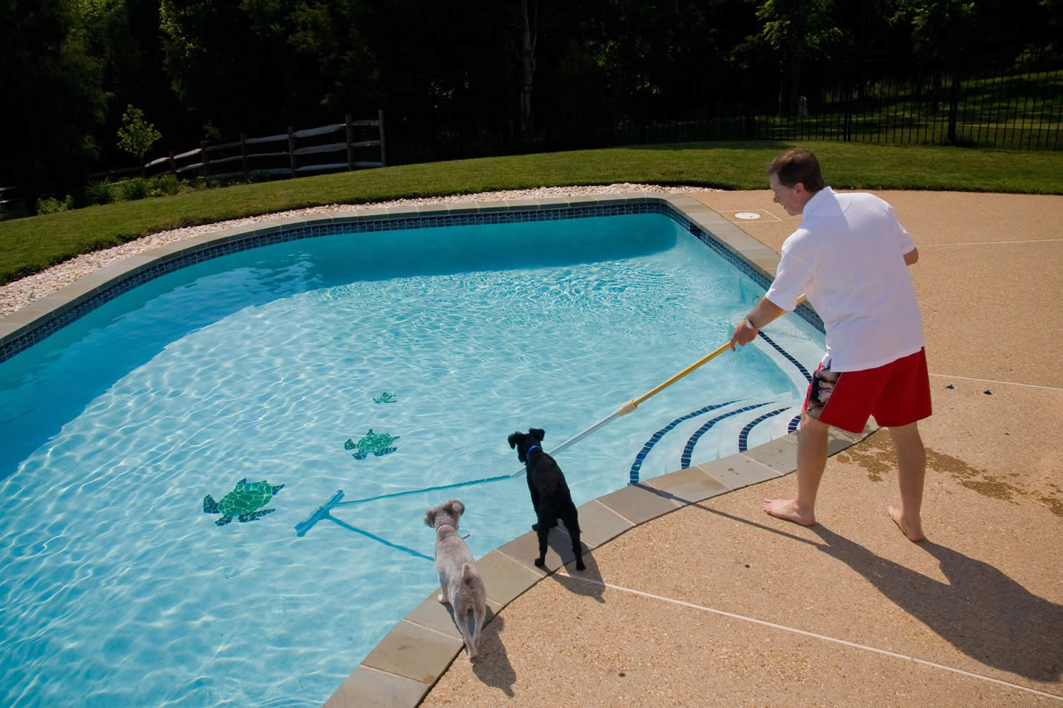 before installing swimming pool
