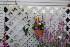 What Kind of Lattice Screening Fits You and Where to Install It