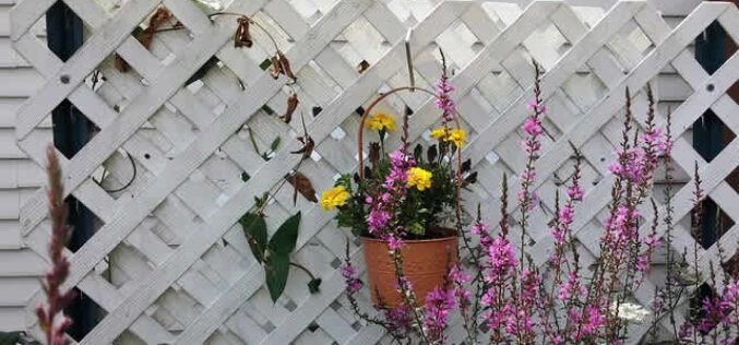 What Kind of Lattice Screening Fits You and Where to Install It