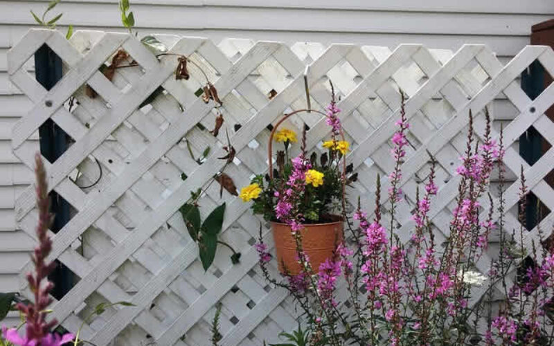 What Kind of Lattice Screening Fits You and Where to Install It