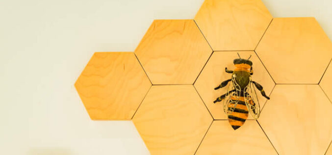Using Organic Shapes In Interior Design
