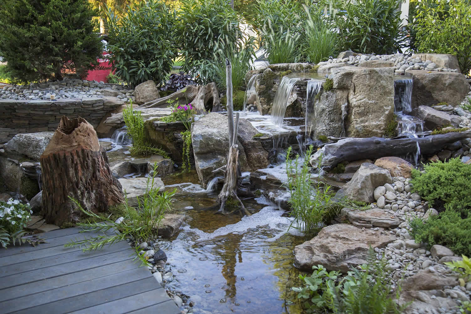 how to know if your pond can support koi