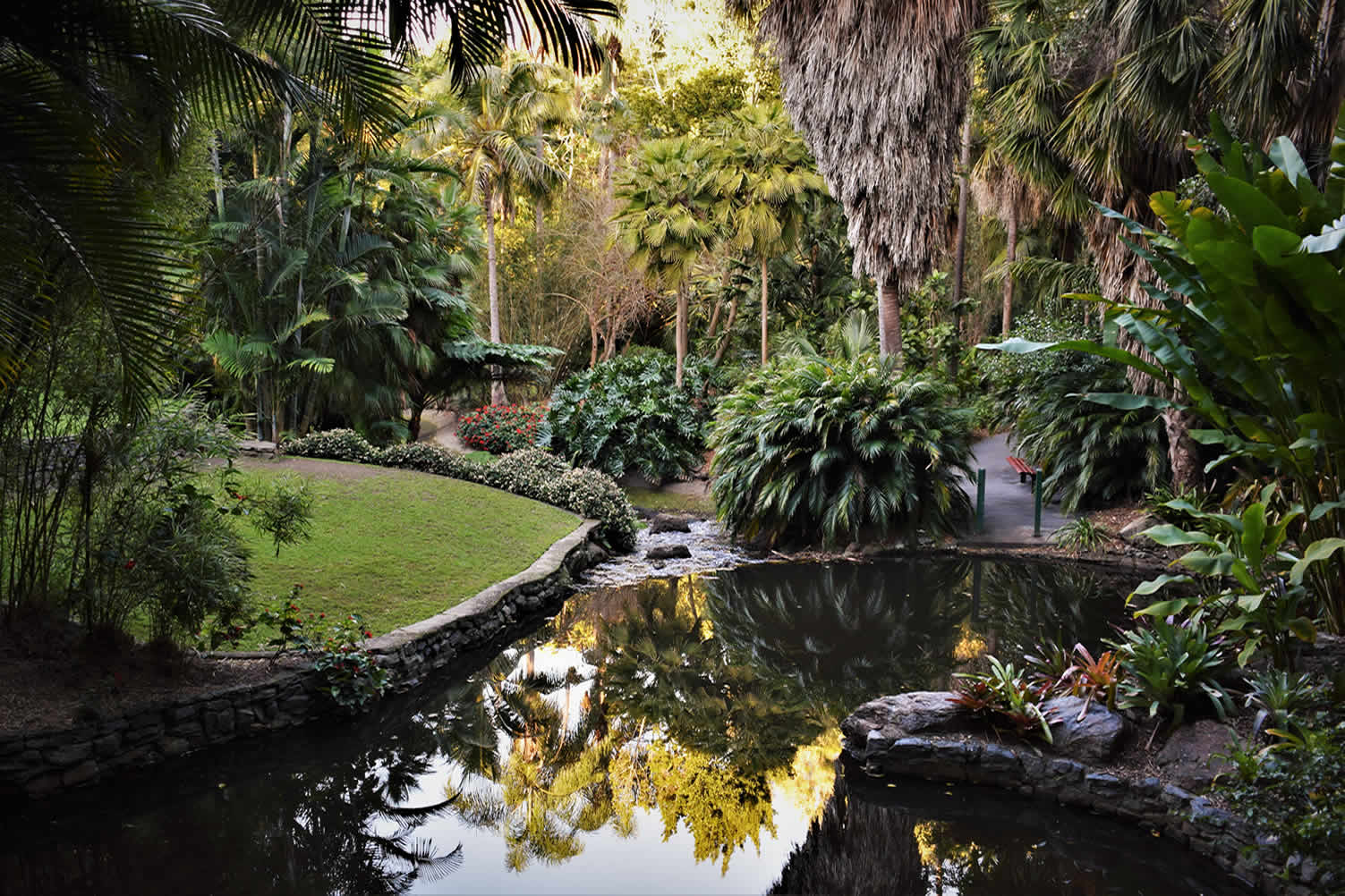 how to know if your pond can support koi