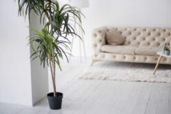Different Home Decorating Styles To Consider