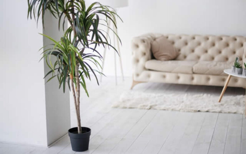 Different Home Decorating Styles To Consider