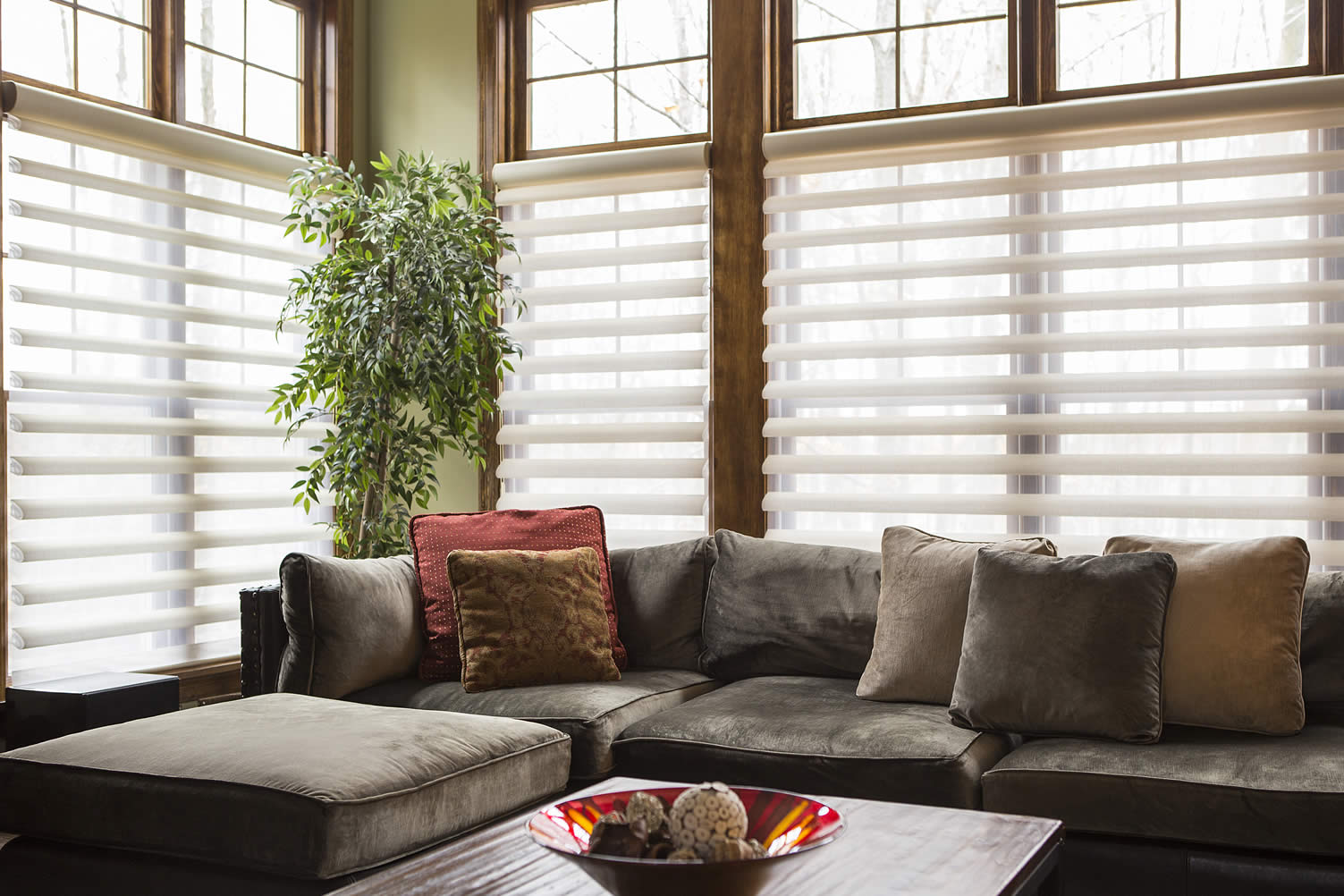 things renters can upgrade