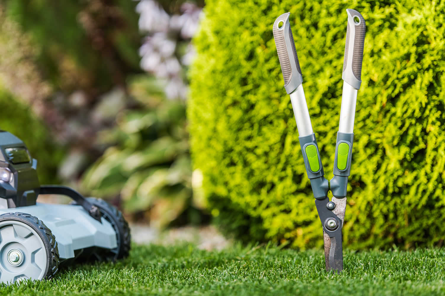 choose the right landscaping design