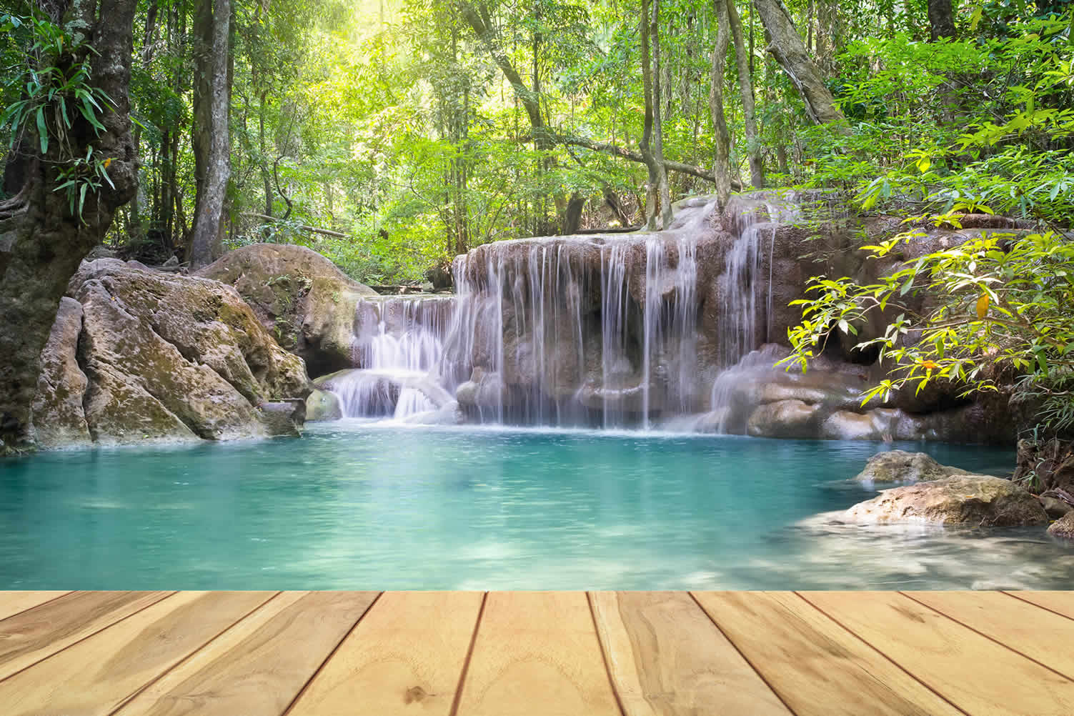 choose the right landscaping design