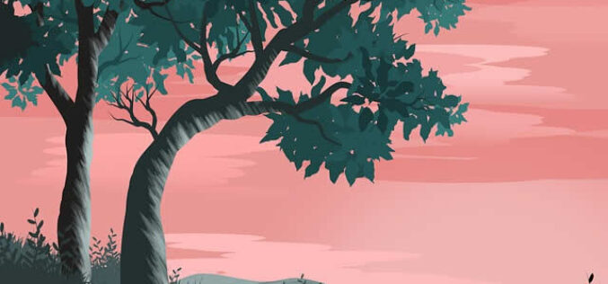 5 Benefits That Trees Offer for You And Your Yard