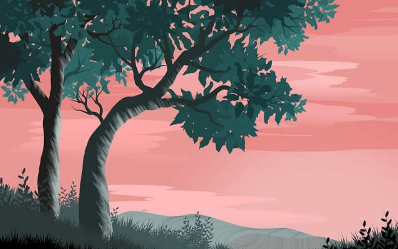 5 Benefits That Trees Offer for You And Your Yard