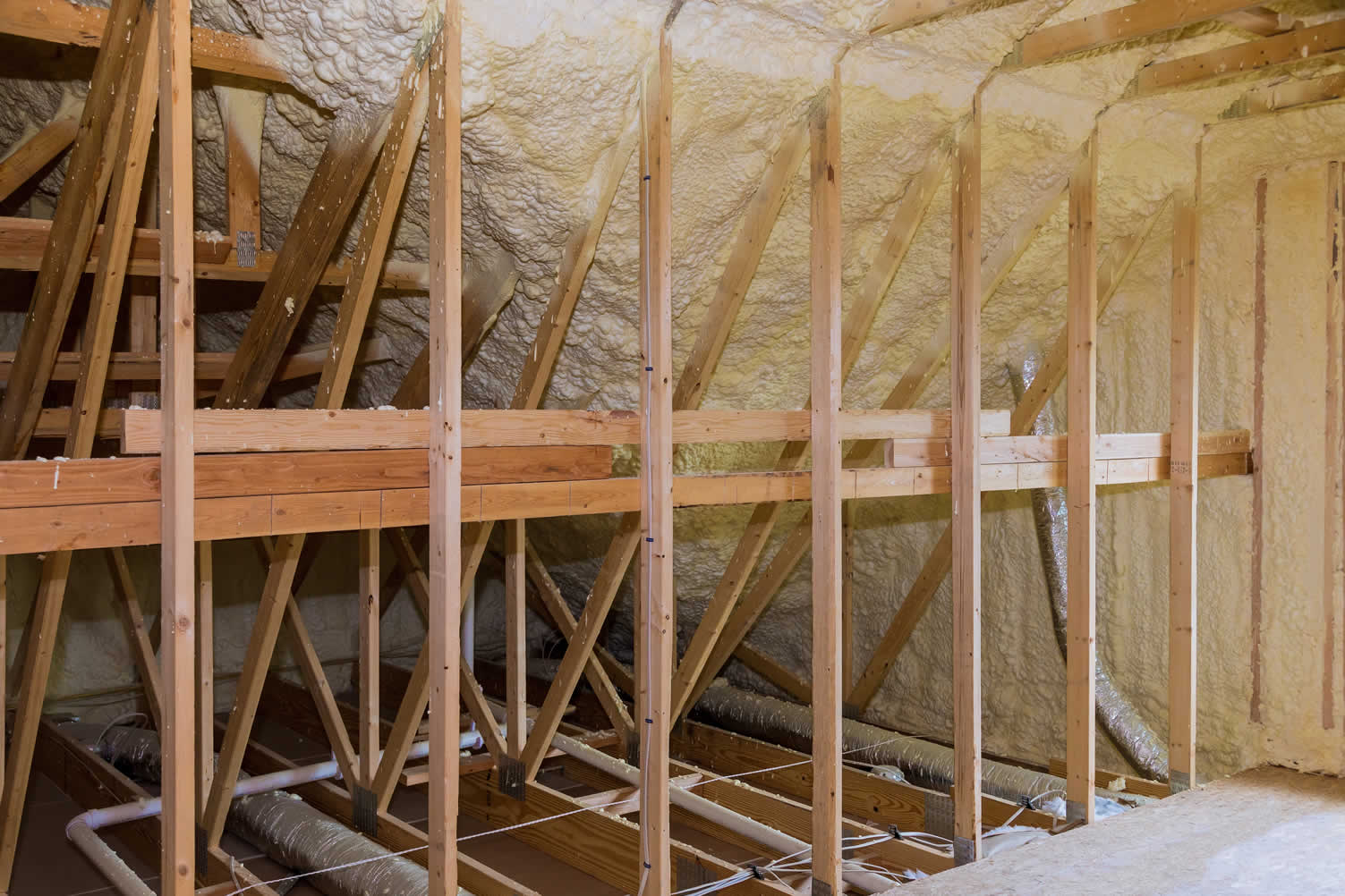how to go green when designing your house