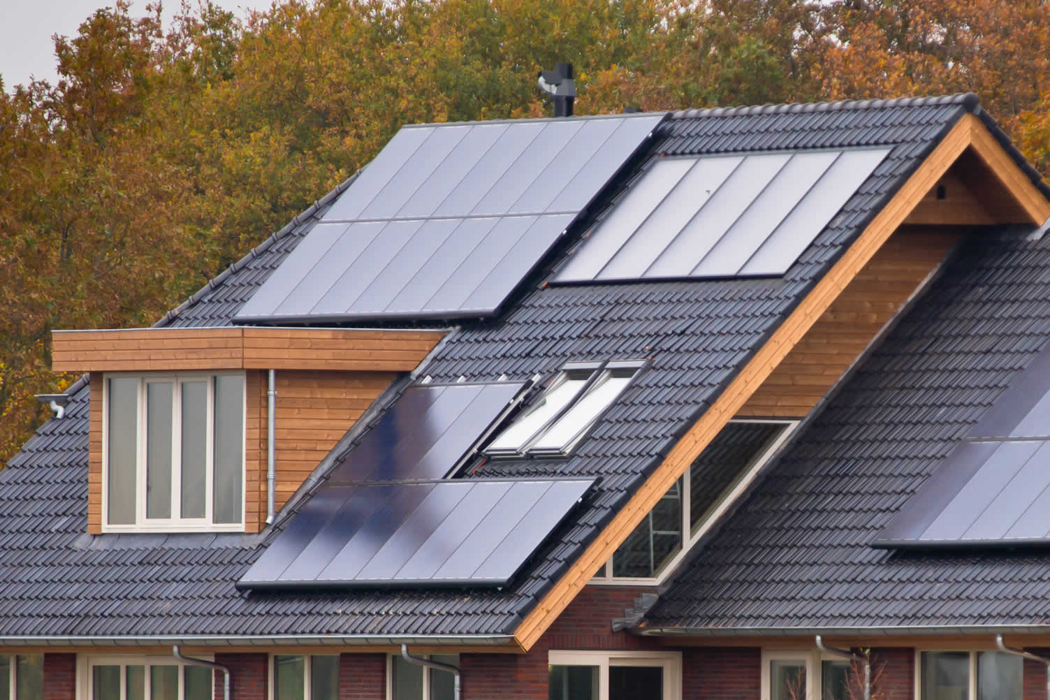 how to go green when designing your house