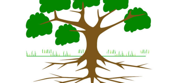 The Top 3 Ways Tree Roots Are Costing You Money