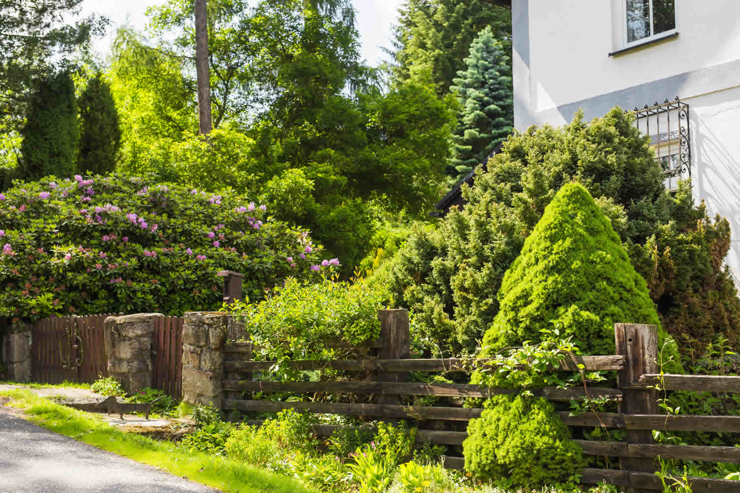 rules to follow when doing DIY landscaping