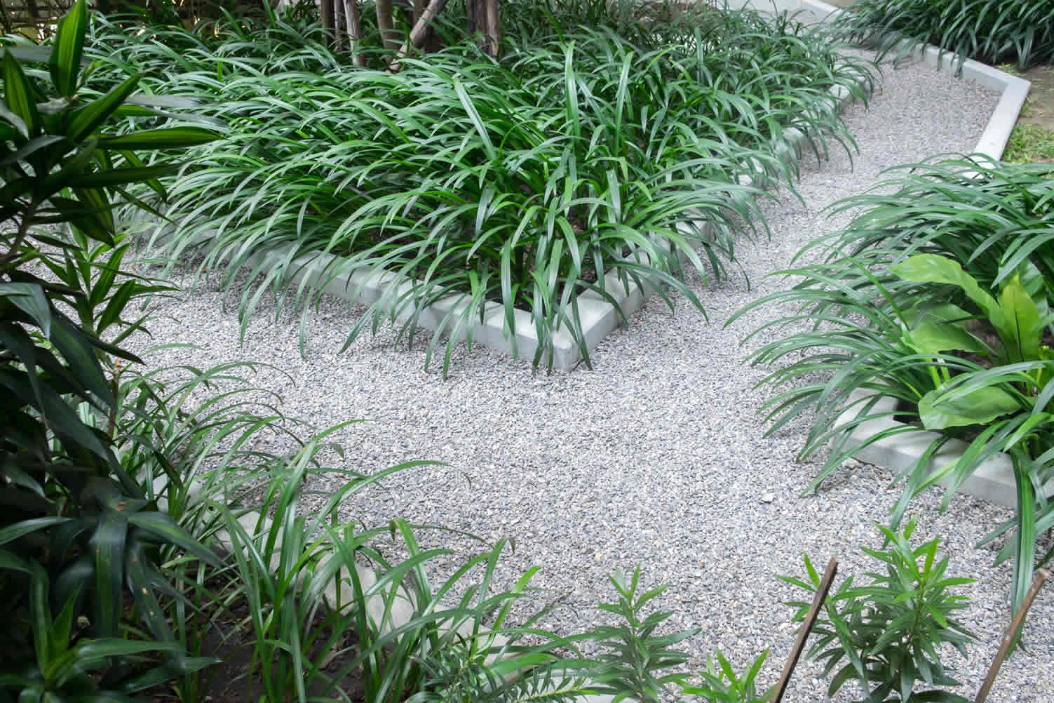 rules to follow when doing DIY landscaping